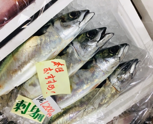 西海物産館魚魚市場鮮魚コーナーおすすめ商品は「お刺身用☆サバ」です