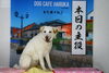 「今日のお友達」