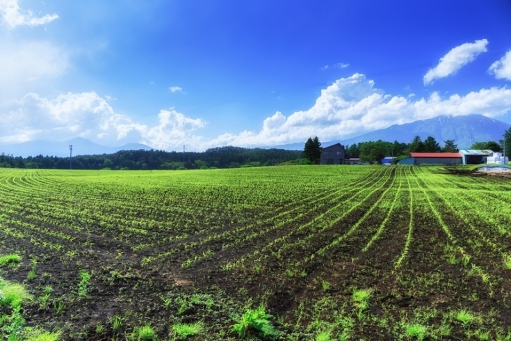 写真はあくまでイメージです。「畑作業の季節が来ました♪」