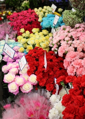 豊富な種類の季節の花々を低価格でご提供しています「日本フラワー」