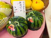 「スイカ入荷しています！一足先に夏気分♪【お肉・野菜・果物は宮崎市清武町の黒木商店で♪】」