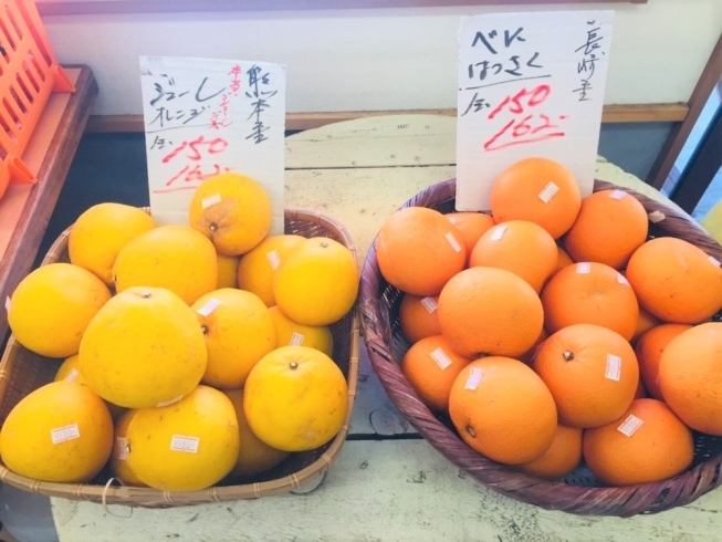 「ジューシーオレンジと紅はっさくが入荷しています！【お肉・野菜・果物は宮崎市清武町の黒木商店で♪】」