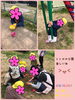 トトロの公園へ行ってきました♡「トトロの公園へ((o(^∇^)o))【交野市・小規模保育園】」