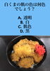 「4月19日月曜日今日のクイズ!!『白くまの肌の色は何色でしょう？』本日のおすすめmenu✨ぶりかつ丼……680円…7枚入です。新潟漁協の社員食堂で美味しい海鮮ランチはいかがでしょうか？ピア万代隣です。」