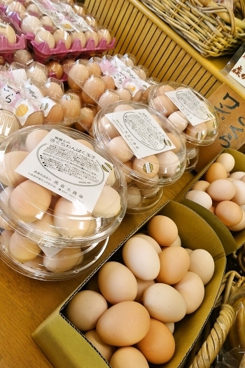 こだわりのさくら卵。「たまご村 甲府店」