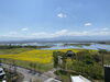 「◇菜の花開花状況◇2021.4.21現在」
