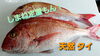 「○本日のお刺身○【しまね定置もん！】天然ブリ、天然タイ」