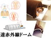 無料体験　遠赤外線ドーム30分「アワード八王子で24時間ジム【女性専用】月額4700円で始めましょう」