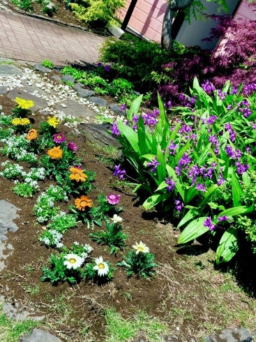 お花植え替えました！「いいお天気ですね」