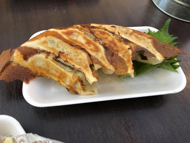 青じそ餃子の焼き餃子です。「運気アップ餃子が、ふるさと納税の返礼品に！」