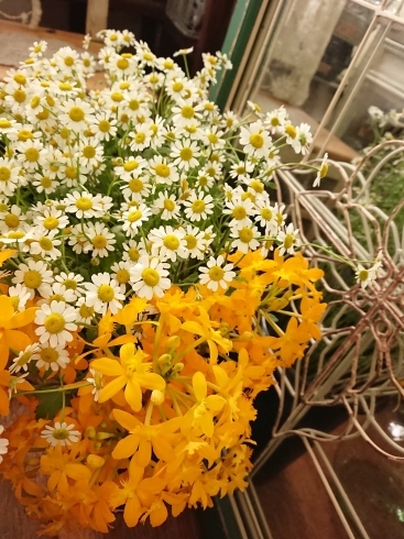 元気が出る黄色 オレンジ グリーンの花 Flower Shop Naran ナラン のニュース まいぷれ 出雲