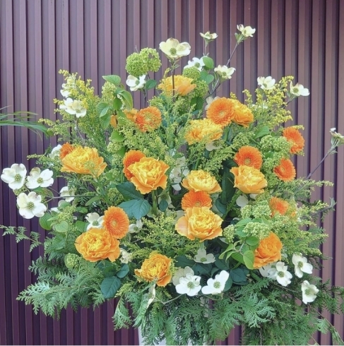 グリーンに映える美しいお祝い花です。「鮮やかで大きなお祝いスタンド花」