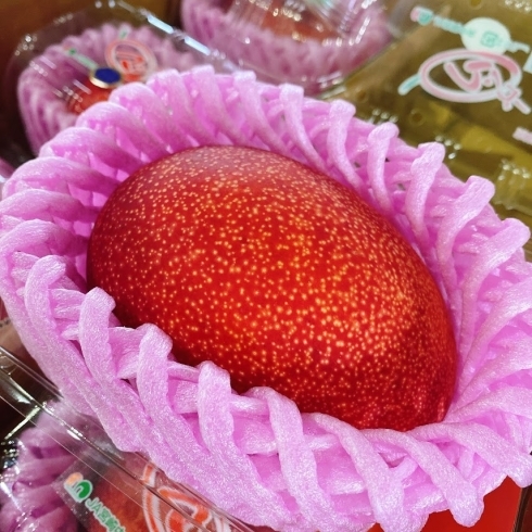 「今年の宮崎県産「マンゴー」はキャンペ―ンを実施しています。」