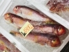 「西海物産館魚魚市場鮮魚コーナー「アマダイがお買い得‼️・お得なバーべキューセット」あります」
