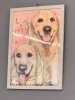 サクラとレンの似顔絵(^▽^)「皆様に支えられて２周年を迎えました(^▽^)/」