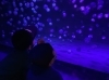クラゲミュージアムは私が大興奮！！！「京都水族館【まいぷれ・西京区・南区・編集部】」