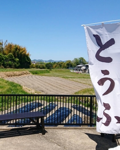 畝が出来上がりました♪直売所の駐車場から見えます！「新プロジェクト始動ヽ(*´▽)ノ♪《西京区 上田とうふ 大原野 直売所 上田ファーム 大豆を育てます》」