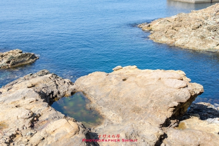 鬼の足跡「鬼の足跡⁉️」