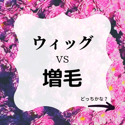 ウィッグか増毛か？「山形で増毛したい方必見‼【増毛？ウィッグ？】どちらがいいか？｜山形県飯豊町ウィッグサロンフリンジ｜山形県飯豊町エイジングケア専門美容室フリンジ｜薬剤性脱毛サポート美容師｜美人ウィッグ」