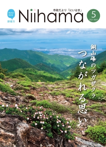 「【市政だより　令和3年5月号を発行しました！】」