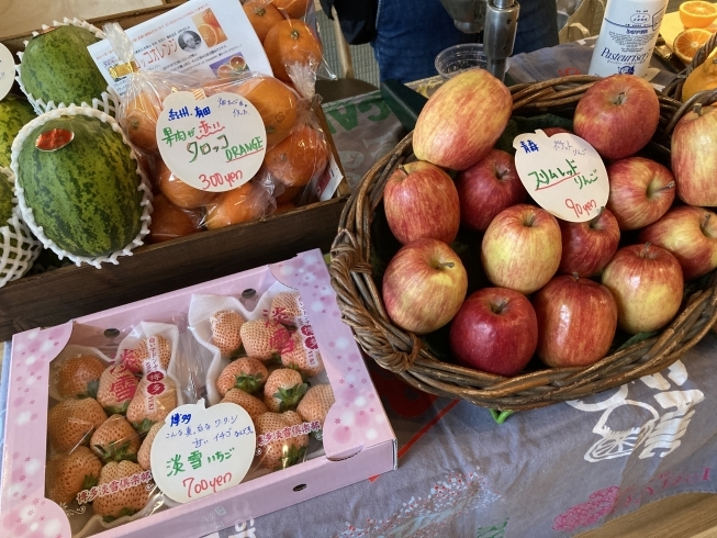 美しくて珍しい、魅惑のくだもの御一行様。「南区『九条湯わけありマルシェ』を満喫☆パート②【まいぷれ・西京区・南区・編集部】」