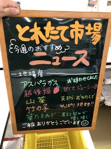 今週のおすすめ始めました！「GWは春の味覚を楽しもう！」