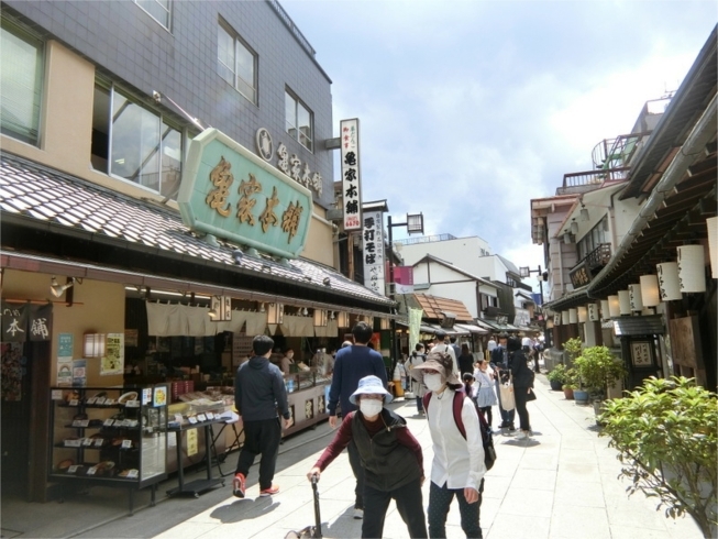 「5月3日「憲法記念日」コロナ渦で迎えた連休『キングサリー（黄色の藤の花）』を買いました♪《柴又亀家おかみの独り言》【柴又名物草だんごが人気☆柴又帝釈天から一番近いお団子屋】」