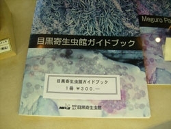 このガイドブックの表紙を思い出すと、なぜかいまもイクラが食べられません。<br>