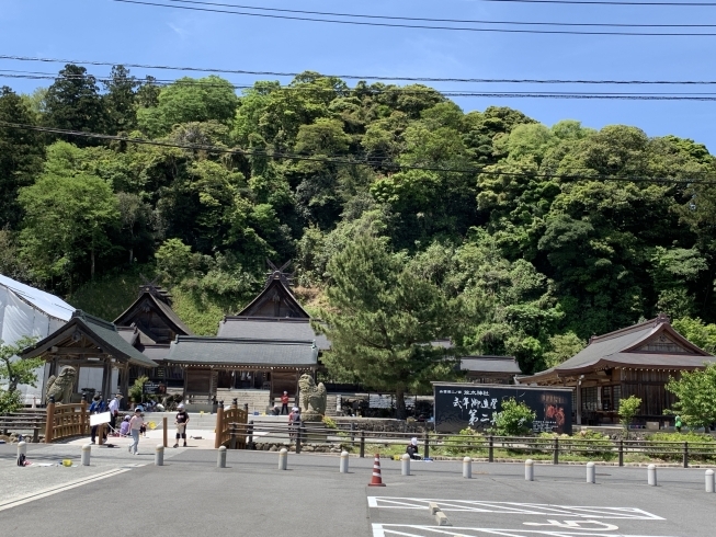 神社「【整体】休日の一コマ。」