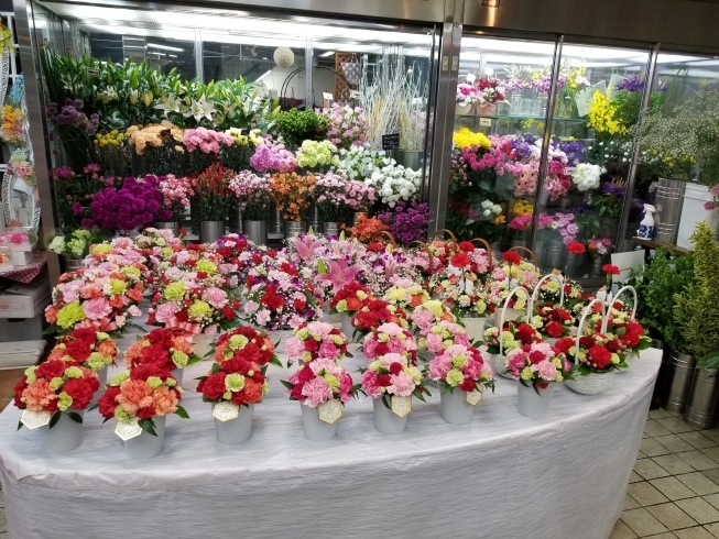 すぐにお持ち帰りok、配達まだ大丈夫です「今日の切り花部の店舗内お見せします☺️」