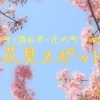 お花見スポット！