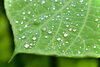 「梅雨・熱中症」