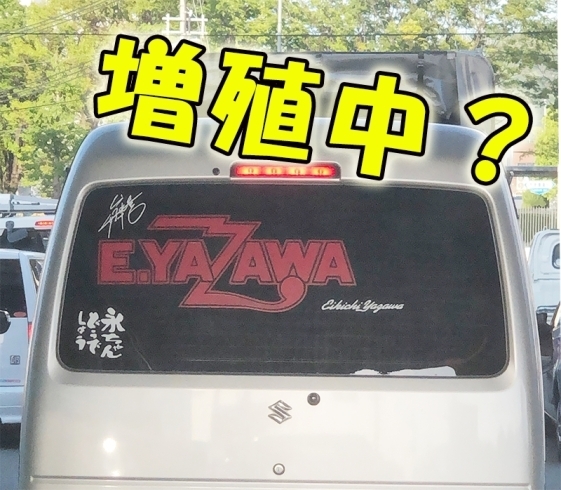 「何故か最近、前にE.YAZAWAが現れます。【まいぷれ・西京区・南区・編集部】」