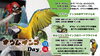 オウムインコデー詳細「【親子でお出かけ】オウム・インコデーイベント開催🦜　(令和8年6月13日、14日)」