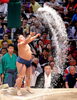 「照強関、明日は輝関との取り組みです❗   照強後援会☆☆☆☆☆☆☆☆」