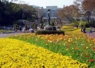 広島市植物公園