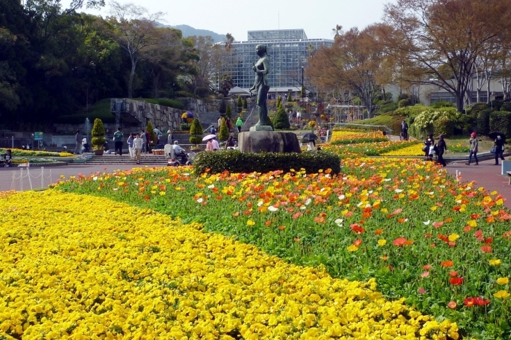 「広島市植物公園」世界の植物に出会える花と緑の癒やしの空間