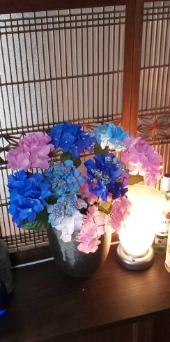 季節の花紫陽花「営業案内」