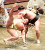「大相撲５月場所中日、照強関すくい投げで白星☆後半戦もよろしくお願いいたします❗」