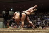 「大相撲５月場所！9日目！照強関掛け投げで勝利明日は千代丸関との取り組みですです」