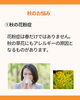 秋も花粉飛んでます。デトックスしよう「ホリスティカルハーブテントで秋バテを吹き飛ばそう。え？夏バテじゃなくて、それは秋バテですよ。秋バテってなんだ？」