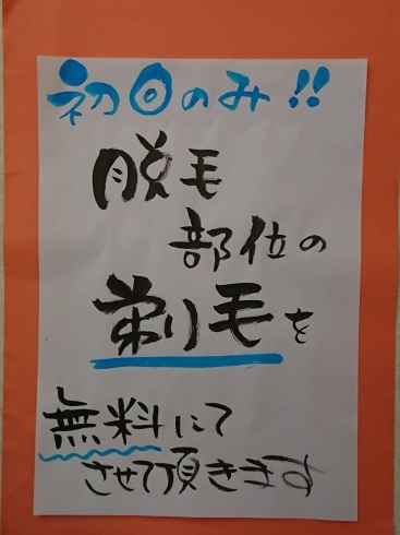 「ひげ、メンズ、レディース脱毛始めました」