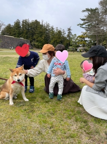 犬に喜んだのは私だったあ笑笑「ふとはじめてみた！」