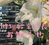 花「時短営業延長のお知らせ」