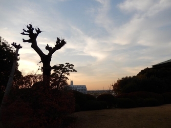 12月の夕暮れは早い。<br>美しく変化する空の色や、木々のシルエットを楽しみました。