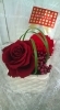 「thankyou mama♪」