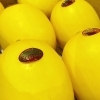 「「キンショーメロン」が入荷していますよ～♪ 　茨城県産　「キンショーメロン」」