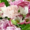 お客様に頂戴しましたお花です「☆6月〜の営業内容について☆」