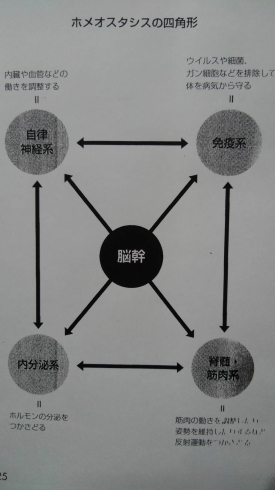 「気が滅入る、疲れやすい、不安、不眠、頭痛、自律神経失調、肩こり、うつ【市川市本八幡駅から徒歩すぐの整体院】」