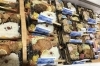 「魚魚市場鮮魚コーナーおすすめは「天然鯛」です♪」